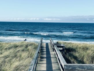 Holzsteg durch Dünengras zum Strand auf Sylt, dahinter die weite Nordsee unter klarem Himmel.»