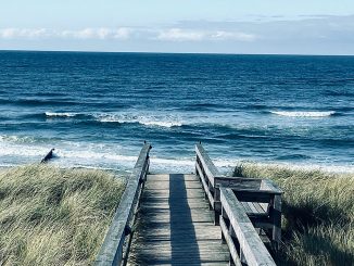 Holzsteg durch Dünengras zum Strand auf Sylt, dahinter die weite Nordsee unter klarem Himmel.